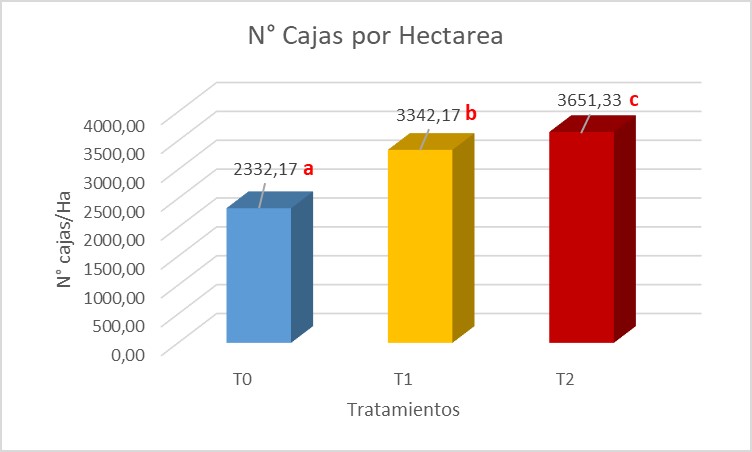Rendimiento