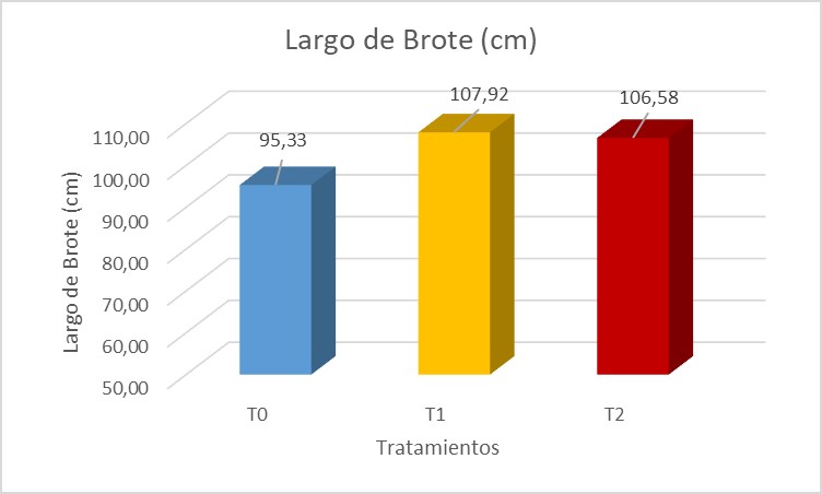 Largo de Brote